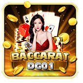 bahggo